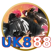 UK888